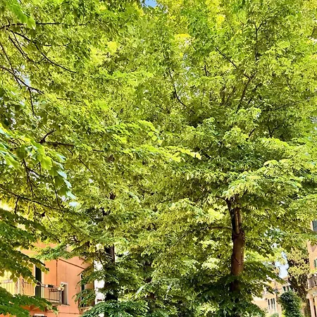 Luce Fantasia E Tv 70p A 2 Minuti Dalla Appartamento Venezia Lido