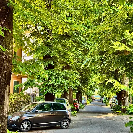 Luce Fantasia E Tv 70p A 2 Minuti Dalla Venedik-Lido