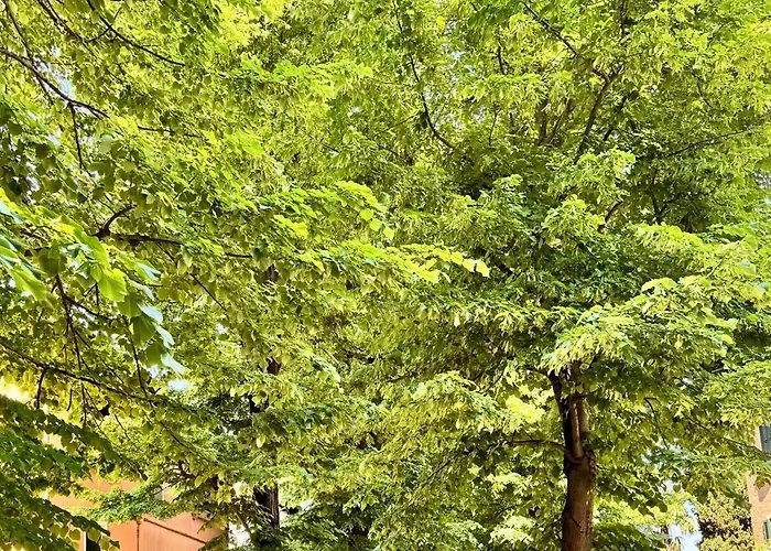 Luce Fantasia E Tv 70p A 2 Minuti Dalla Lejlighed Venedigs Lido